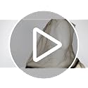 HOMEYA Net Suit L/XL Full-Body Mosquito Protection Suit (Beige, Large-XL) with Hooded Jacket, Pants & Gloves
