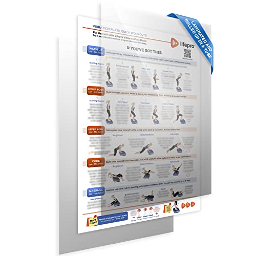 Whole Body Vibration Plate Exercise Chart - Laminated Workout Poster