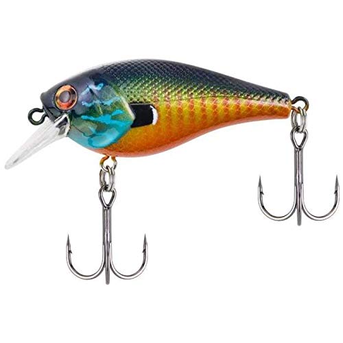 SquareBull Gilly 5.5 Crankbait - 2 3/8in, 3/8 oz