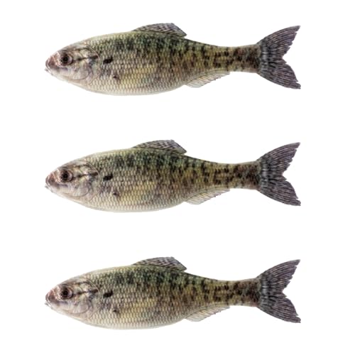 Panorama Soft Plastic Fishing Lure - Live Crappie 5.0" (3/pk)