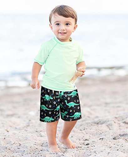 Boys Quick-Dry Swim Trunks - Toddler Board Shorts - Green Dinosaur 4-5T