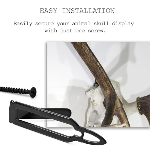 European Mount Skull Hanger for Deer & Small Animals - Bullet Style