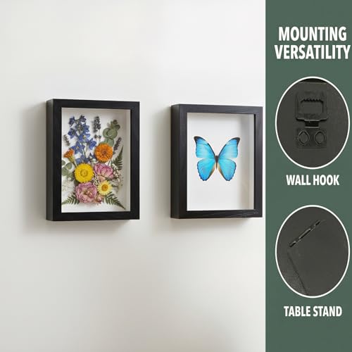 Black Medal Display Case with Real Glass Frame - 7 Inch, Wall & Table Mount