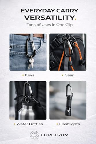 10-Pack Black Aluminum Carabiner Clips - 2.25” D-Ring