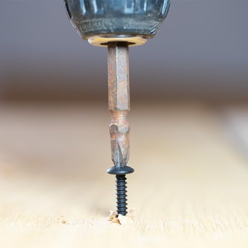 LUPANTER #8 x 1-1/4" Wood Screw 100Pcs Truss Head Phillips 18-8 (304) Stainless Steel Fast Self Tapping Screws Black Oxide…