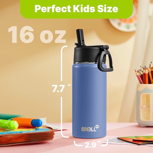 Kids Insulated Water Bottle 16oz with Straw - Royal Blue, Food Grade Stainless Steel