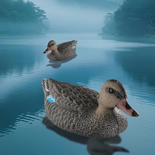 Realistic Mallard Duck Decoy (1) for Hunting & Ornament - Cifavor