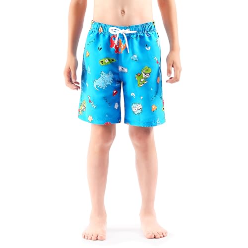 Boys Swim Trunks - Quick-Dry Board Shorts 4-5T Blue Dinosaur