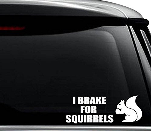 I Brake For Squirrels Vinyl Decal - 8-Inch - Gloss Black