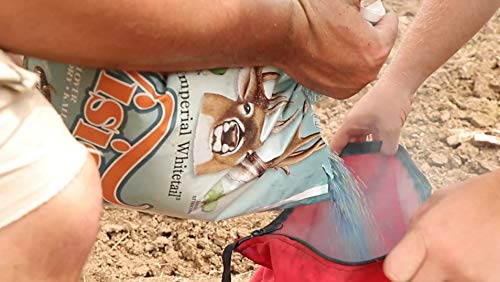 Whitetail Institute Vision Deer Food Plot Seed - 4 lbs for 0.5 Acres, Perennial Blend with Clover, Chicory & Kale