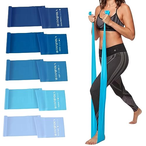 Lianjindun Gradient Blue Resistance Bands Set for Workout & Therapy, 5 Levels