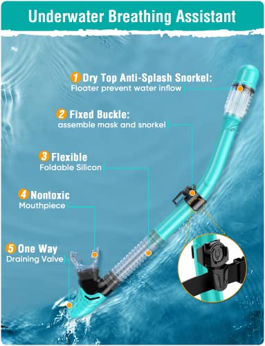 Snorkeling Gear Set for Adults - Anti-Fog Mask & Dry Top Snorkel - Z-Black/Green Transparent