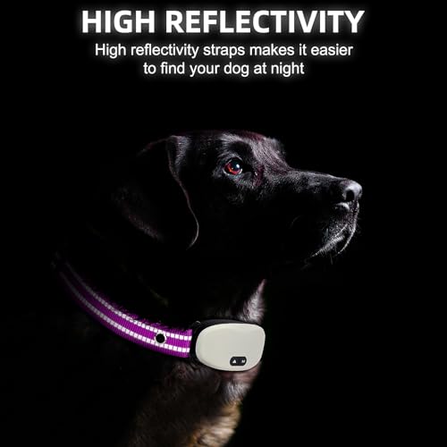 Odokele Reflective Purple Nylon Dog Collar Replacement Strap, Adjustable & Universal Fit