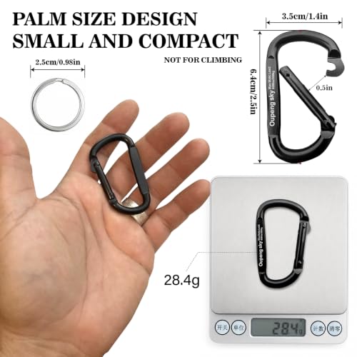 Heavy Duty Carabiner Clip - 6PCS 2.5" Keychain Hooks for Outdoor