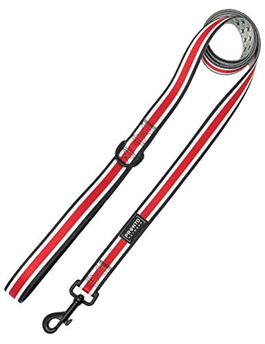 Ohio State Buckeyes Stripe Dog Leash - 5ft, Neoprene Handle