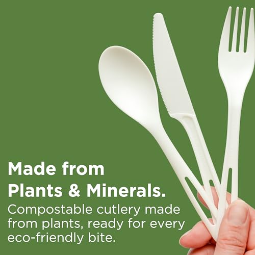 Compostable TPLA Forks - 6.3 Inch, Pack of 24