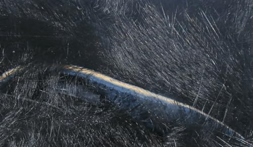 Hareline Magnum Rabbit Strips - Wide Rabbit Fur for Streamers, Black