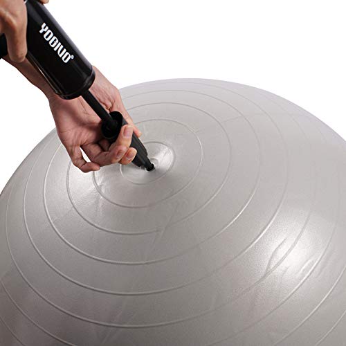 Hand Air Pump for Yoga Ball - Exercise Ball Pump with 2 Plugs