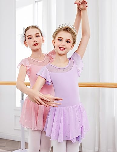 Zaclotre Girls Ballet Leotard with Ruffle Sleeves & Sparkle - Light Purple 4-5T