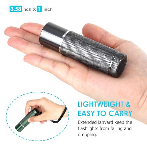 FASTPRO 12-Pack Flashlights Set, Aluminum LED Flashlights with AAA Batteries Included & Pre-Installed, Super Bright 100 Lumen Flashlight for Party Favors, Holiday Gifts, Camping, Hurricane Supplies