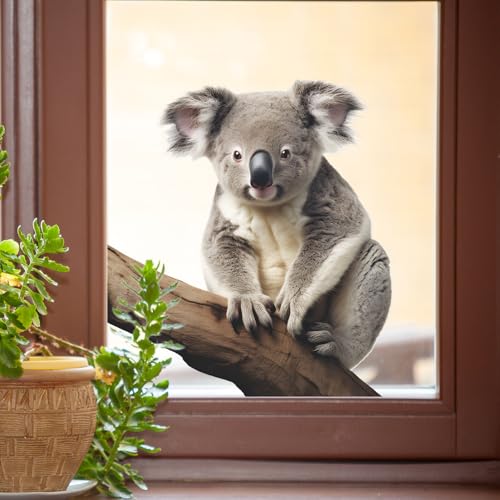 Cute Koala Wall Decal 3D Koala Wall Sticker Removable Peel & Stick Animal Wall Art Decor Stickers for Kids Baby Classroom Living Room Nursery
