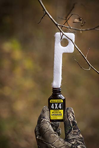 Key-Wick Scent Dispenser - 8-Pack for Deer Attraction