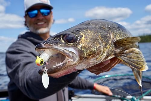 Versatile Walleye Spin Jig with Thumper Willow Blade - 1/8 Oz