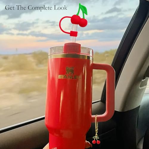 Cherry Charms Set - 4Pcs 3D Silicone Drink Toppers for Stanley Tumbler
