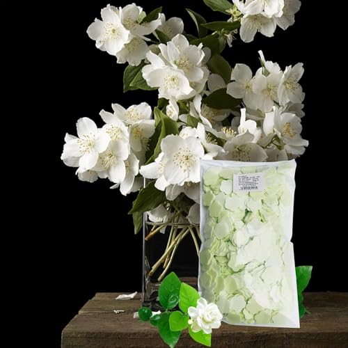 1000 Disposable Paper Soap Sheets - Portable Travel Hand Wash - Green