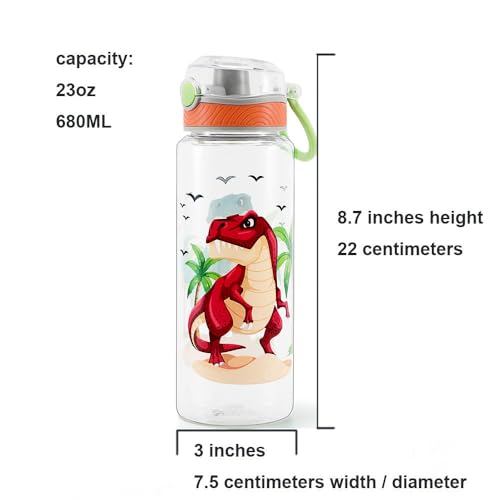 23oz Kids Water Bottle - Dinosaur Design with Chug Lid