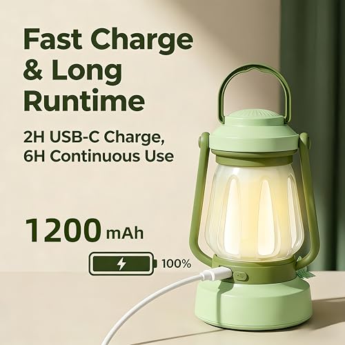 Kids Lantern with 4 Color Dimmable LED & USB-C | Green Butterfly Night Light