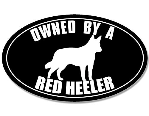 Australian Cattle Dog Vinyl Decal - 3x5 Inch Sticker