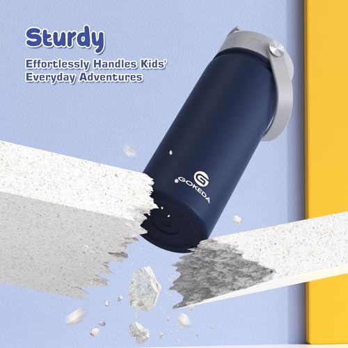 Kids Stainless Steel Water Bottle 18oz with Leak-Proof Straw & Dust Cover