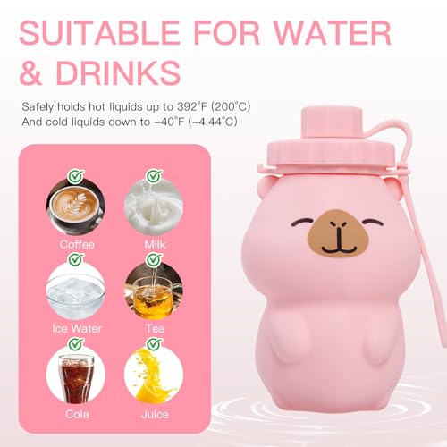 Kawaii Capybara Collapsible Water Bottle - 17oz Pink