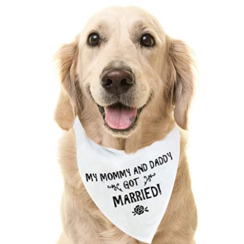 Wedding Dog Bandana - 28" White 'Got Married' Scarf for Pets