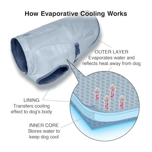 Dog Cooling Vest - Large Evaporative Design with Reflective Trim