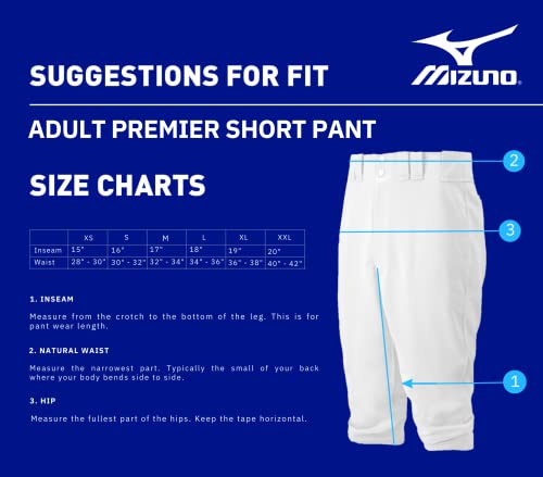 Mizuno Adult Men's Premier Baseball Pant - White / Small / Short Fit