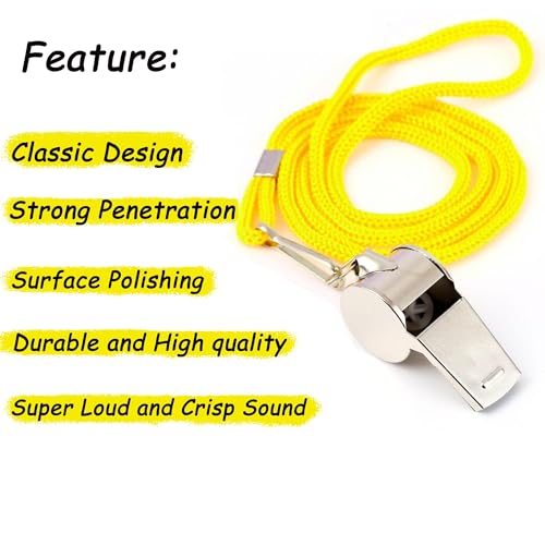Stainless Steel Whistles with Lanyards - 24 Pack, Loud Sound