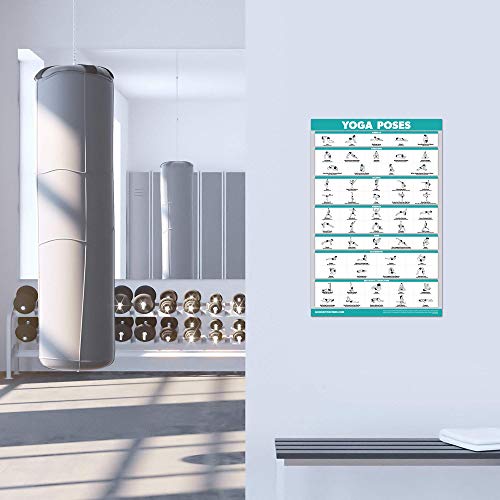 QuickFit Yoga Position Exercise Poster - Laminated 18" x 24"