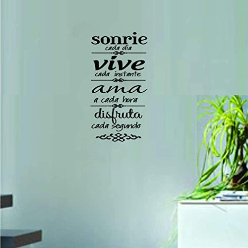 Sonrie Vive AMA Wall Decal Home Decor Spanish Family Rules Decals Art Sticker (23.6''x7.8'')