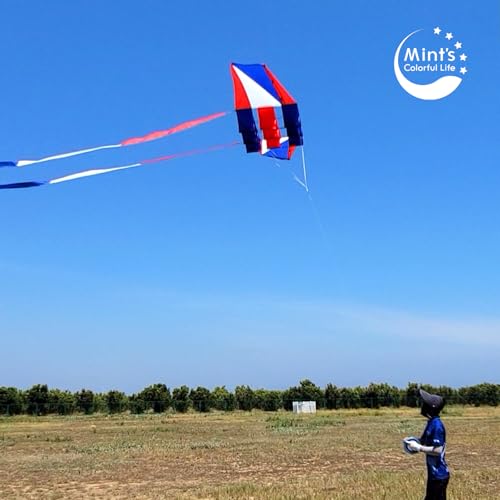 Mint's Colorful Life Red, White & Blue Large Kite for Adults & Teens, 98-inch Easy Fly with Long Tails