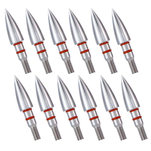 12pcs Archery Field Points - 100 to 300 Grain Screw-in Tips