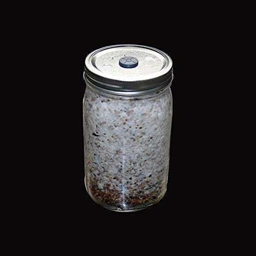 64pcs Synthetic Filter Paper Stickers for Mushroom Cultivation - 20mm