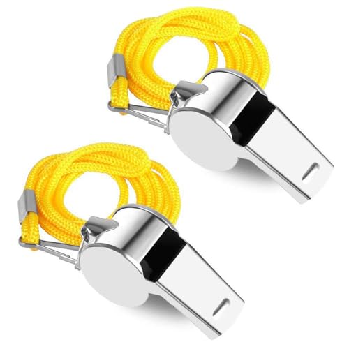 Stainless Steel Whistles with Lanyards - 24 Pack, Loud Sound