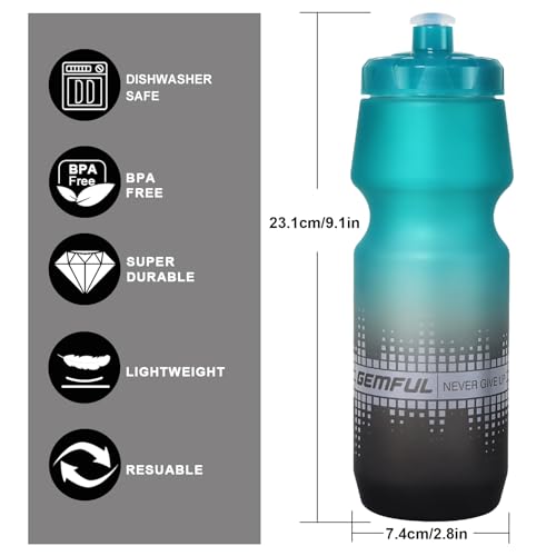 24oz Cycling Water Bottles 2 Pack - Gradient Black White, BPA-Free, Leak-Proof
