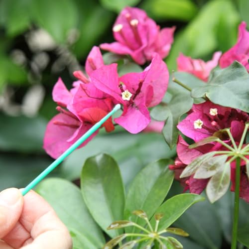 BinaryABC Vegetable Pollinator Tool Flower Pollination Brush Fruit Tree Pollinator Garden Pollinator Tools,100PCS (Green)