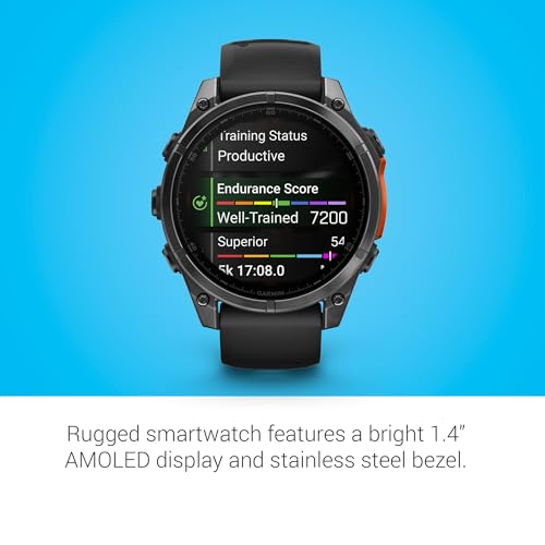 Garmin Fenix 8 Premium GPS Running Smartwatch - 47 mm AMOLED, Slate Gray with Black Band