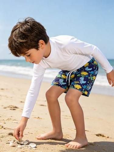 Toddler Boy Swim Trunks Quick Dry Board Shorts with Pocket - 2-3T Purple Dino