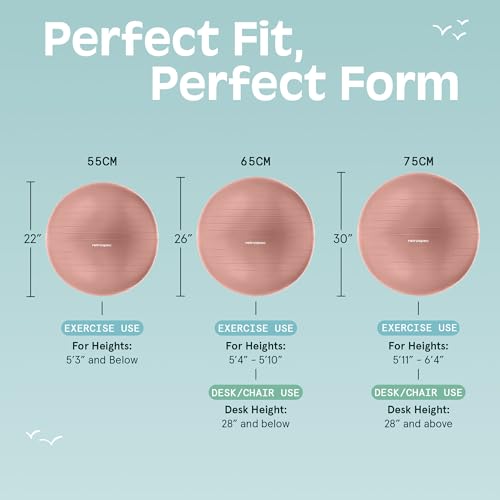 Anti-Burst Exercise Ball with Pump - 65cm Rose Yoga & Fitness
