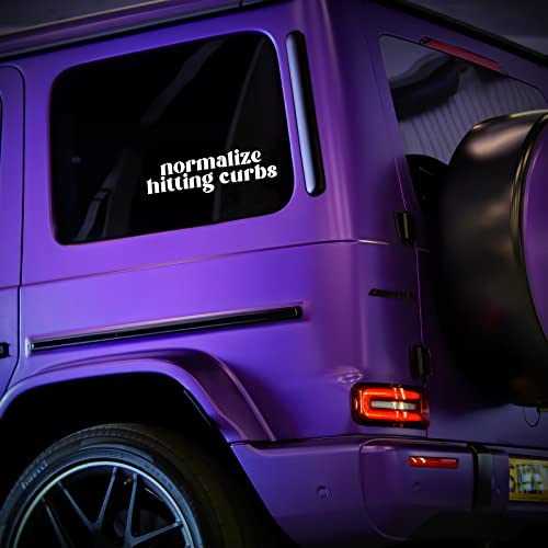 Normalize Hitting Curbs Vinyl Decal Sticker - 8" x 2.5"